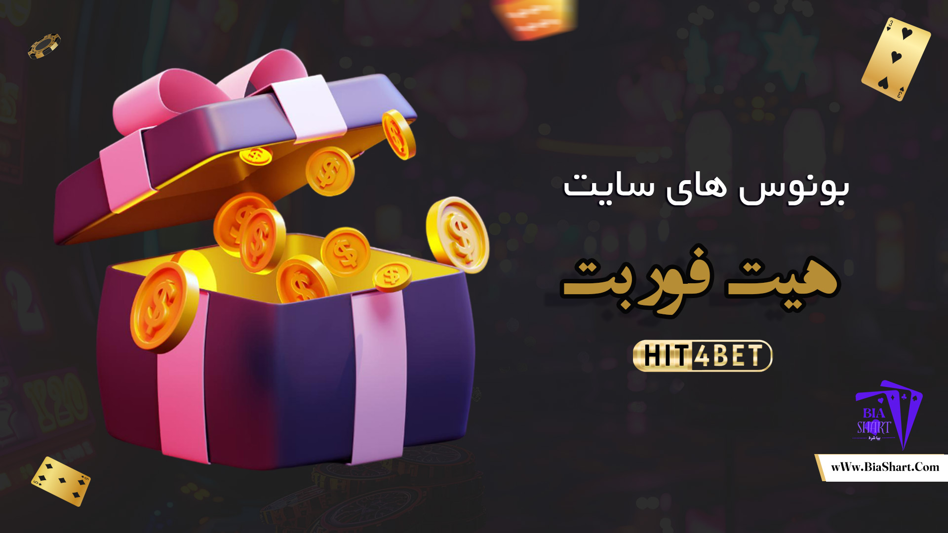 ونوس-های-سایت-هیت-فور-بت