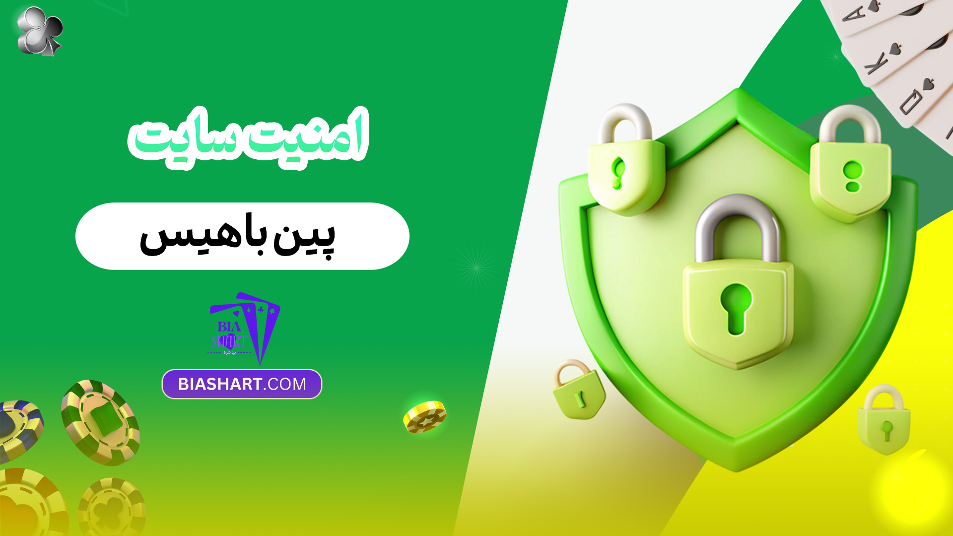 امنیت سایت پین باهیس