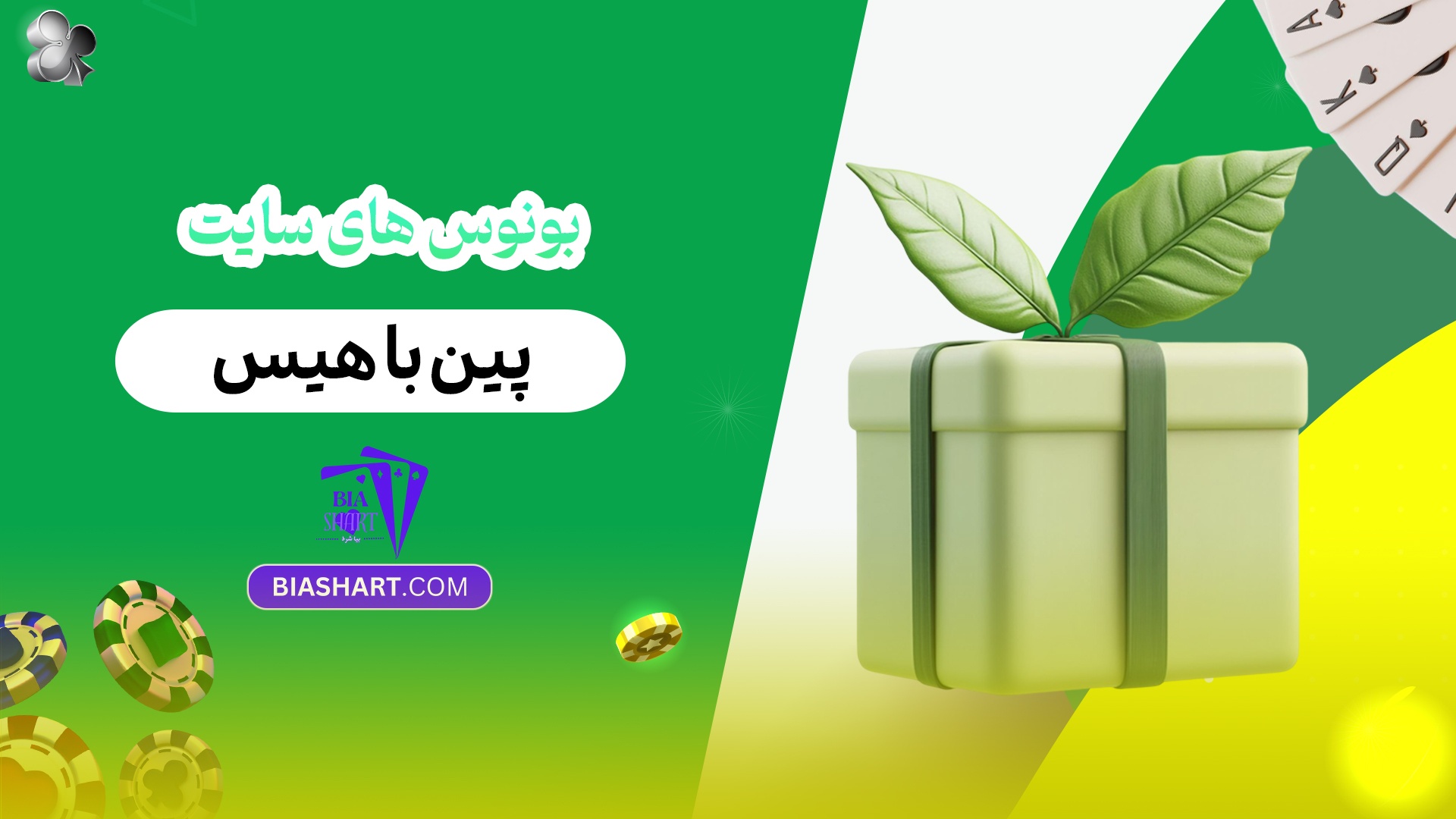 بونوس های سایت پین باهیس